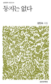 둥지는 없다(실천문학 시인선 31)