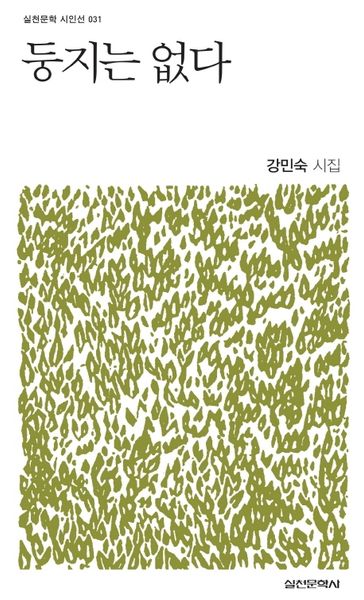 둥지는 없다(실천문학 시인선 31)