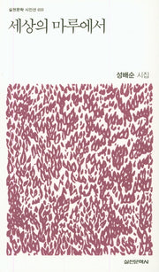 세상의 마루에서(실천문학 시인선 33)