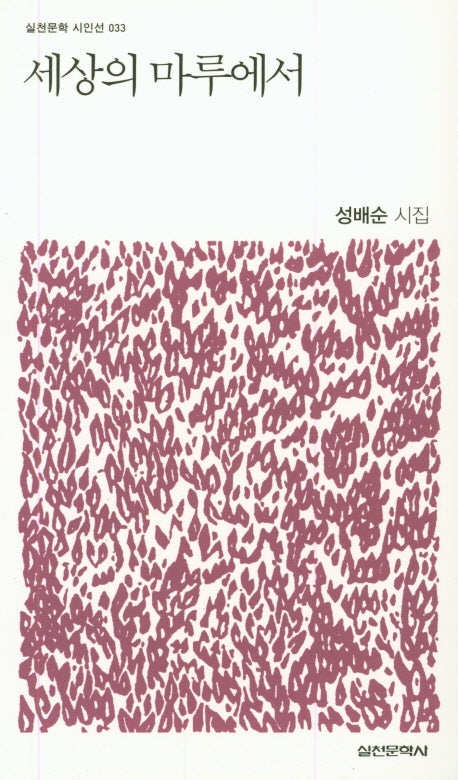 세상의 마루에서(실천문학 시인선 33)