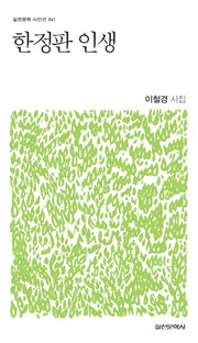 한정판 인생(실천문학 시인선 41)