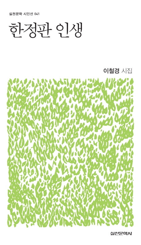한정판 인생(실천문학 시인선 41)