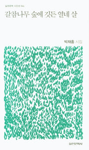 갈참나무 숲에 깃든 열네 살(실천문학 시인선 44)
