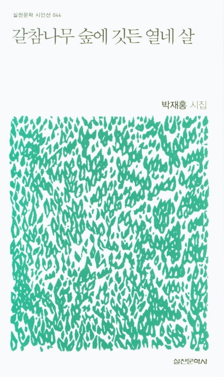 갈참나무 숲에 깃든 열네 살(실천문학 시인선 44)