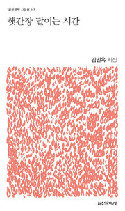 햇간장 달이는 시간(실천문학 시인선 47)
