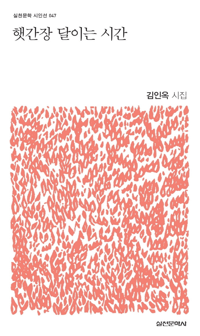 햇간장 달이는 시간(실천문학 시인선 47)