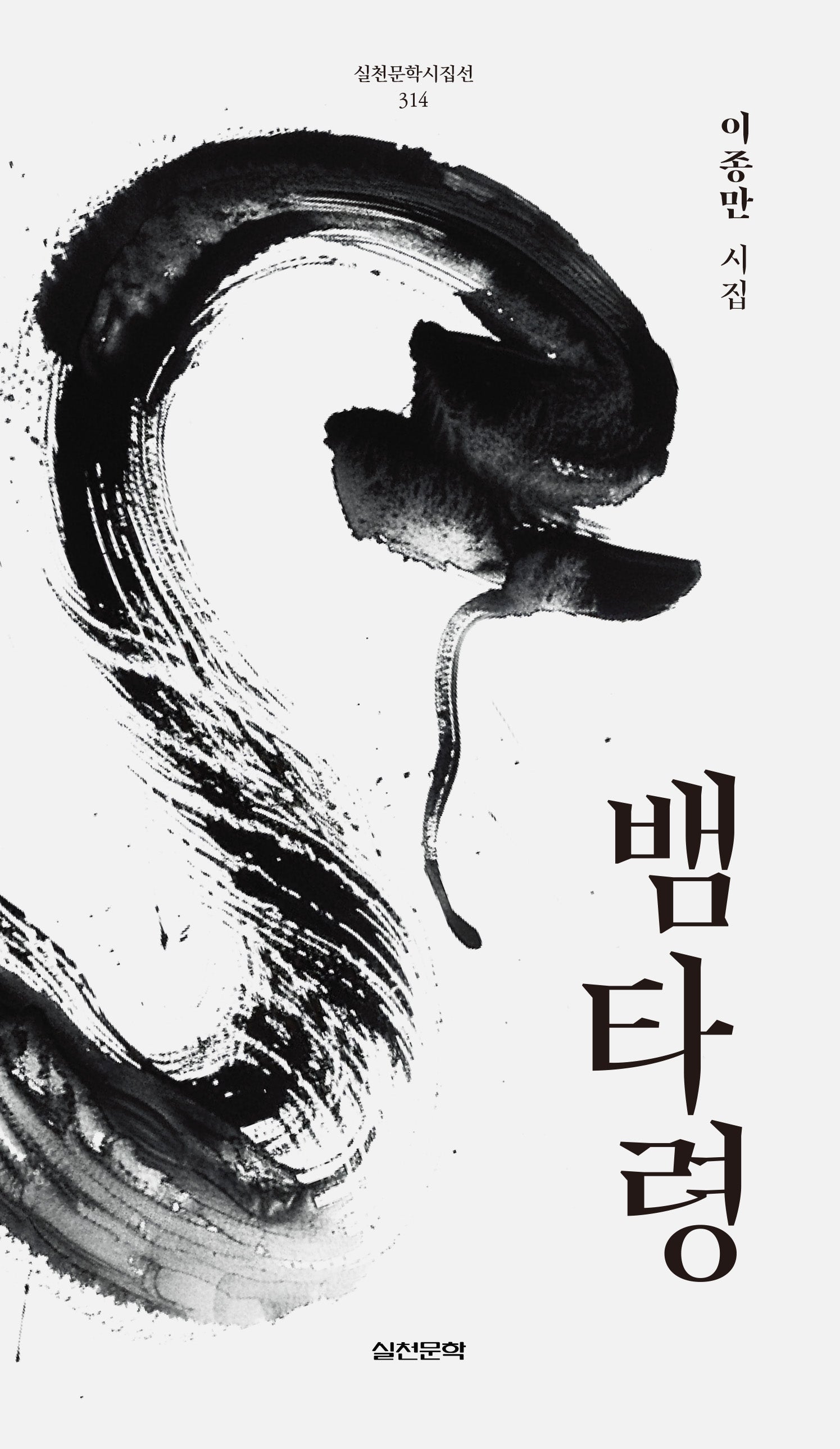 뱀타령(실천문학시집선 314)
