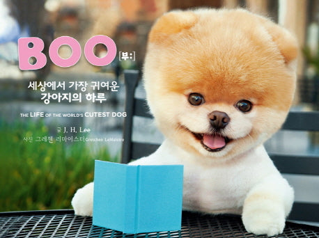 Boo 세상에서 가장 귀여운 강아지의 하루