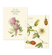 식물노트 작성법(보타니컬 아티스트를 위한)