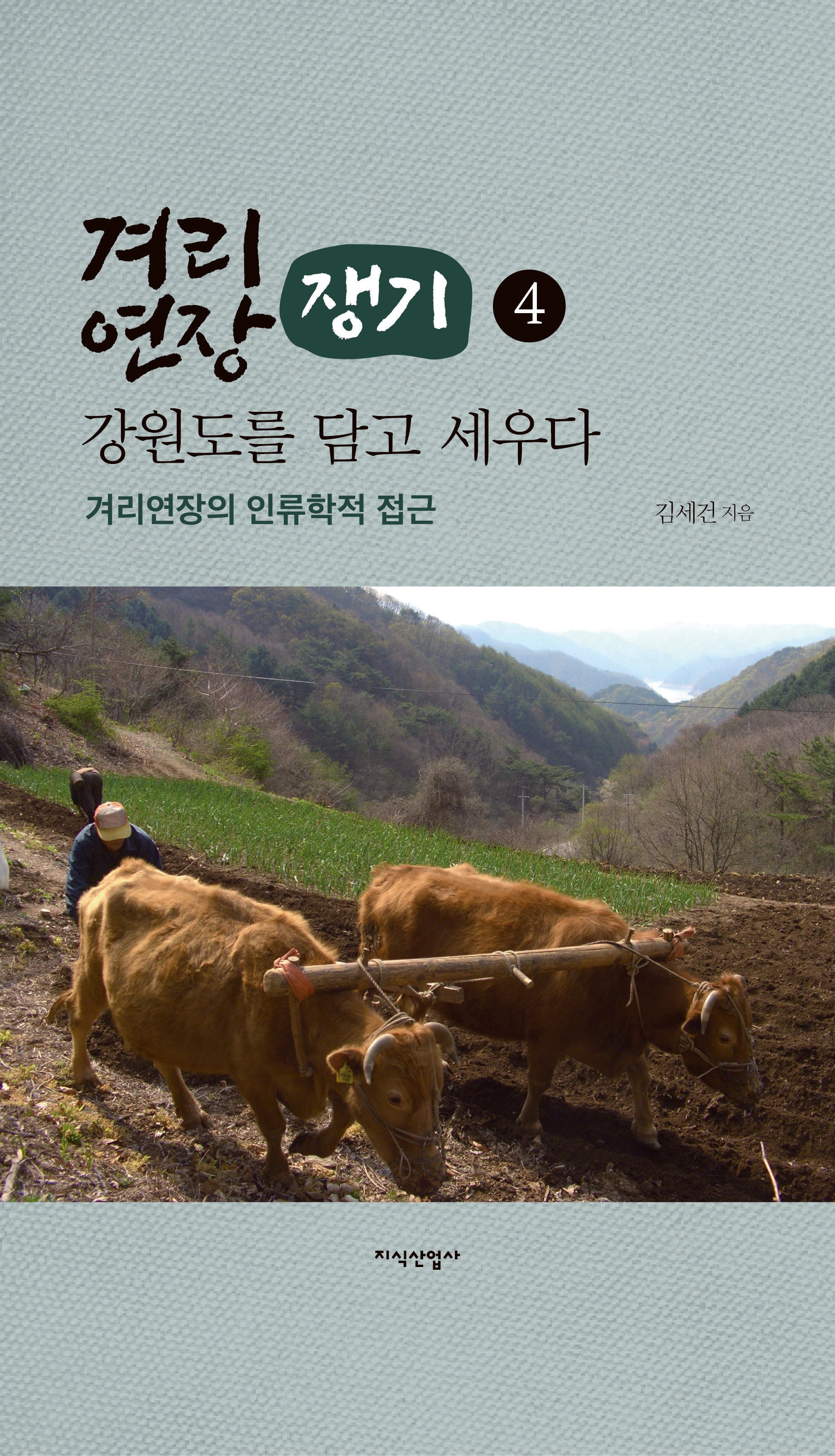겨리연장(쟁기), 강원도를 담고 세우다 4(양장본 Hardcover)