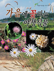 가을에 꽃피는 야생식물