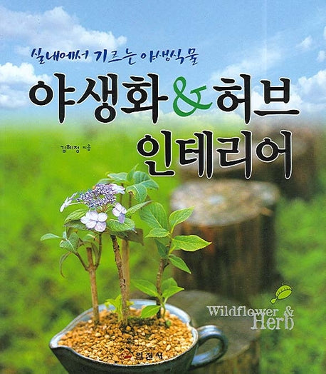 야생화 허브 인테리어