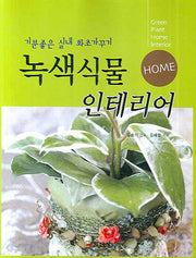 녹색식물 인테리어