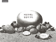 바닷가에는 돌들이 가득(The Collection)(양장본 HardCover)