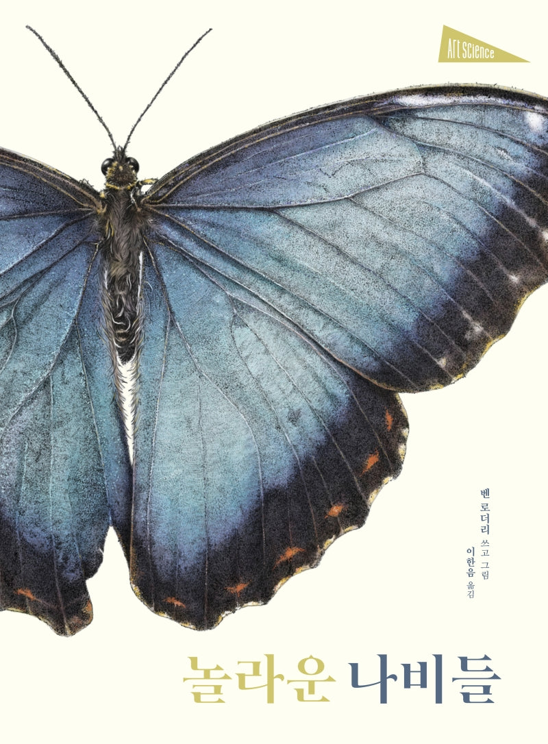 놀라운 나비들(양장본 Hardcover)