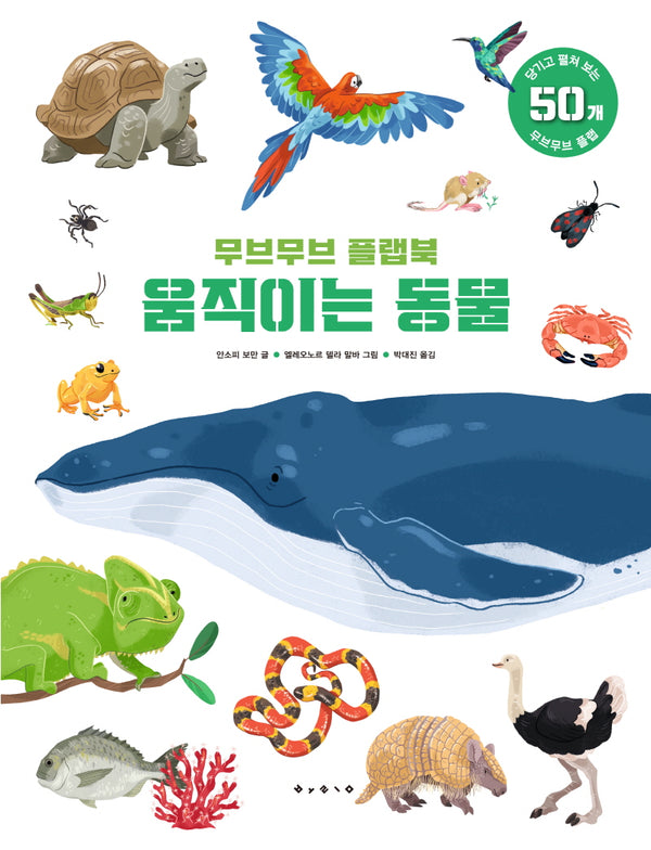 무브무브 플랩북: 움직이는 동물(양장본 Hardcover)