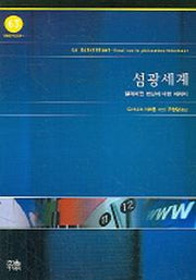 섬광세계(방송문화진흥총서 63)