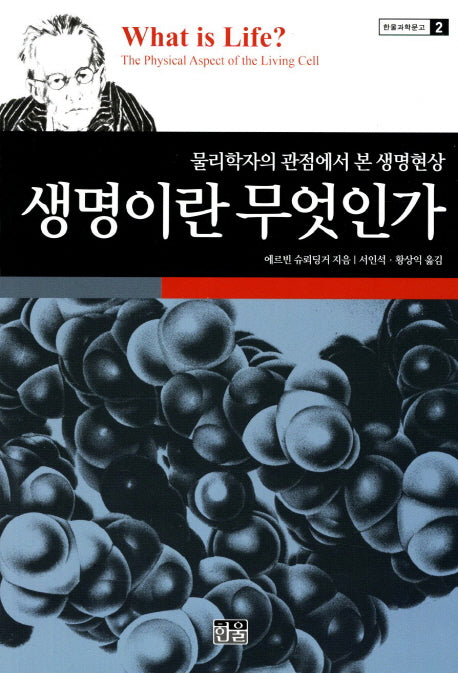 생명이란 무엇인가(2판)(한울과학문고 2)