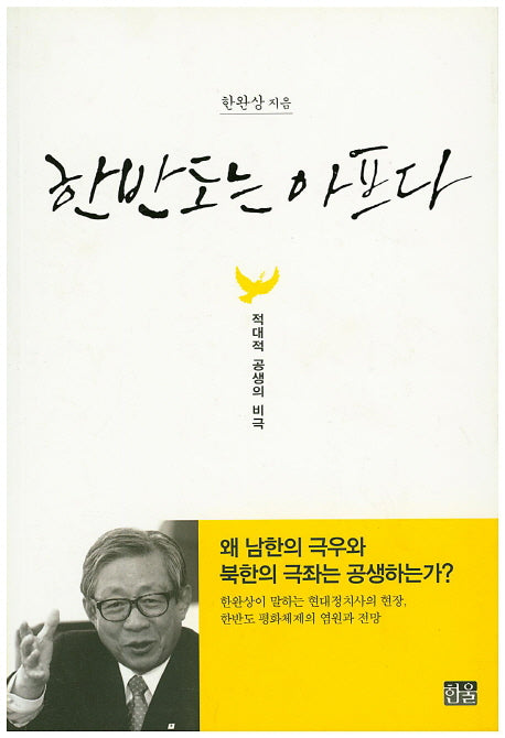 한반도는 아프다