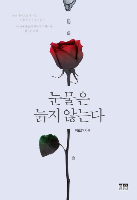 눈물은 늙지 않는다