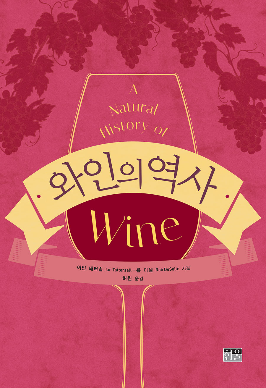 와인의 역사
