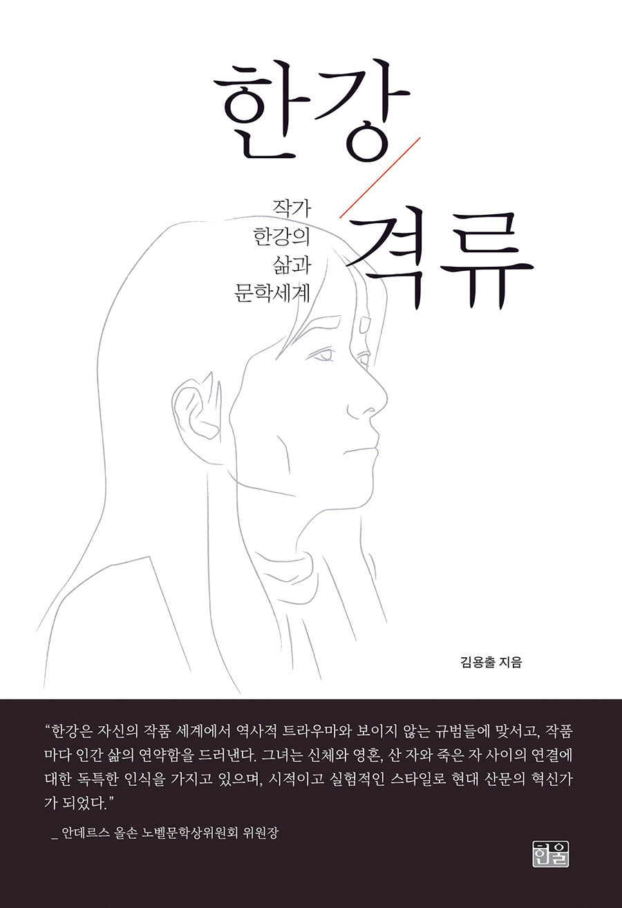 한강 격류
