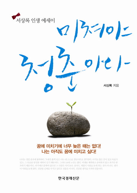 미쳐야 청춘이다