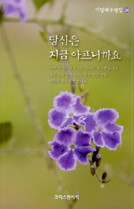 당신은 지금 아프니까요(기일혜 수필집 36)