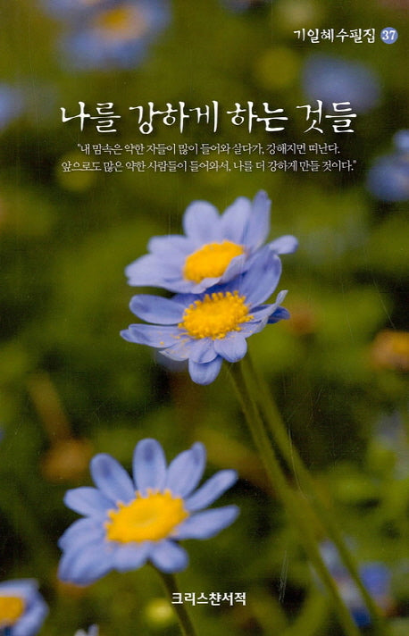 나를 강하게 하는 것들(기일혜 수필집 37)