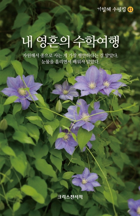 내 영혼의 수학여행(기일해 수필집 41)