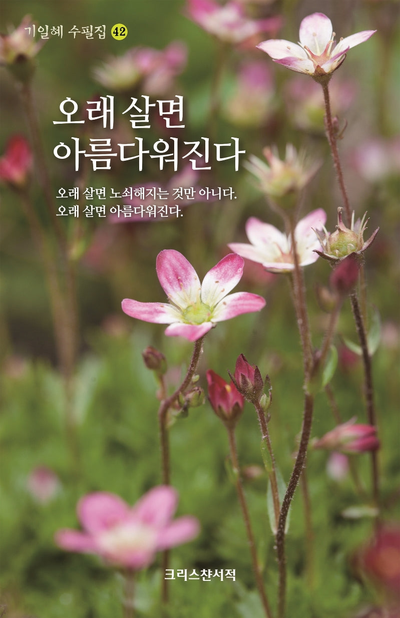 오래 살면 아름다워진다(기일혜 수필집 42)