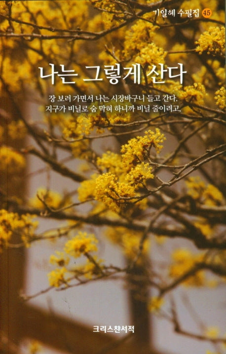 나는 그렇게 산다(기일혜 수필집 45)