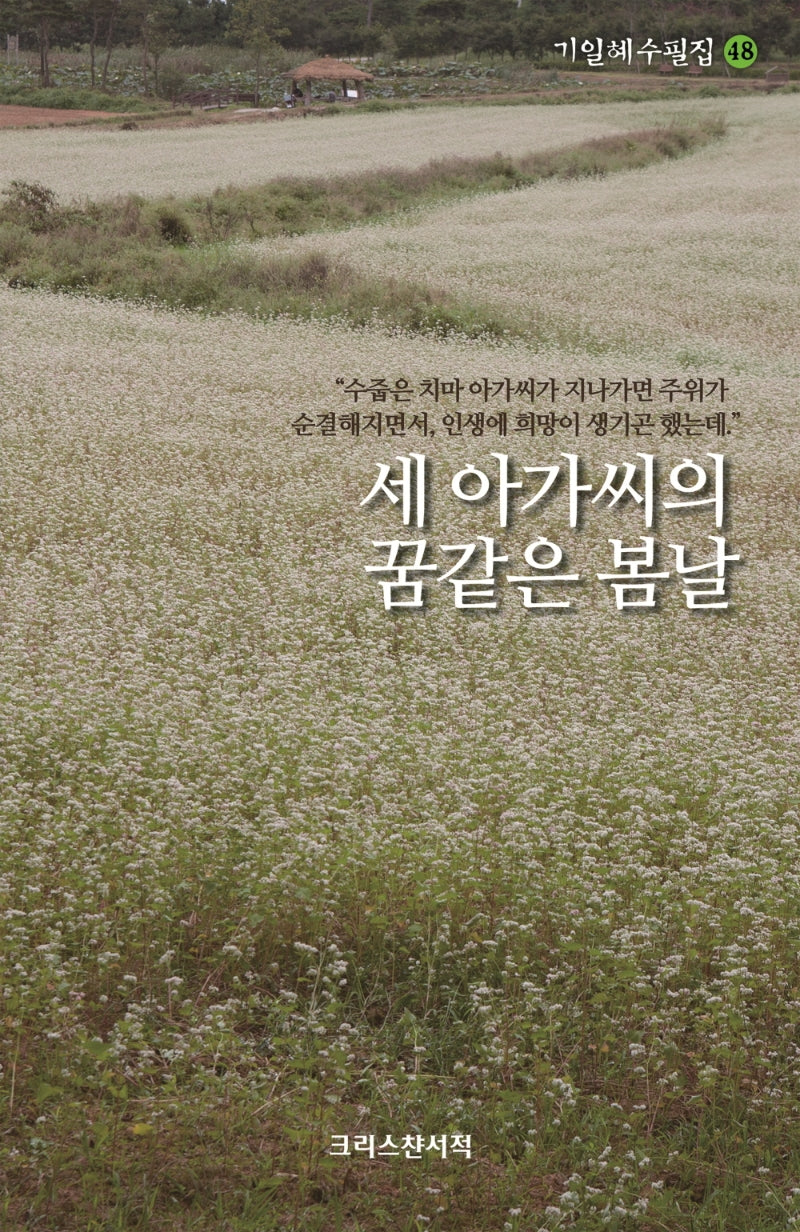 세 아가씨의 꿈같은 봄날(기일혜수필집 48)
