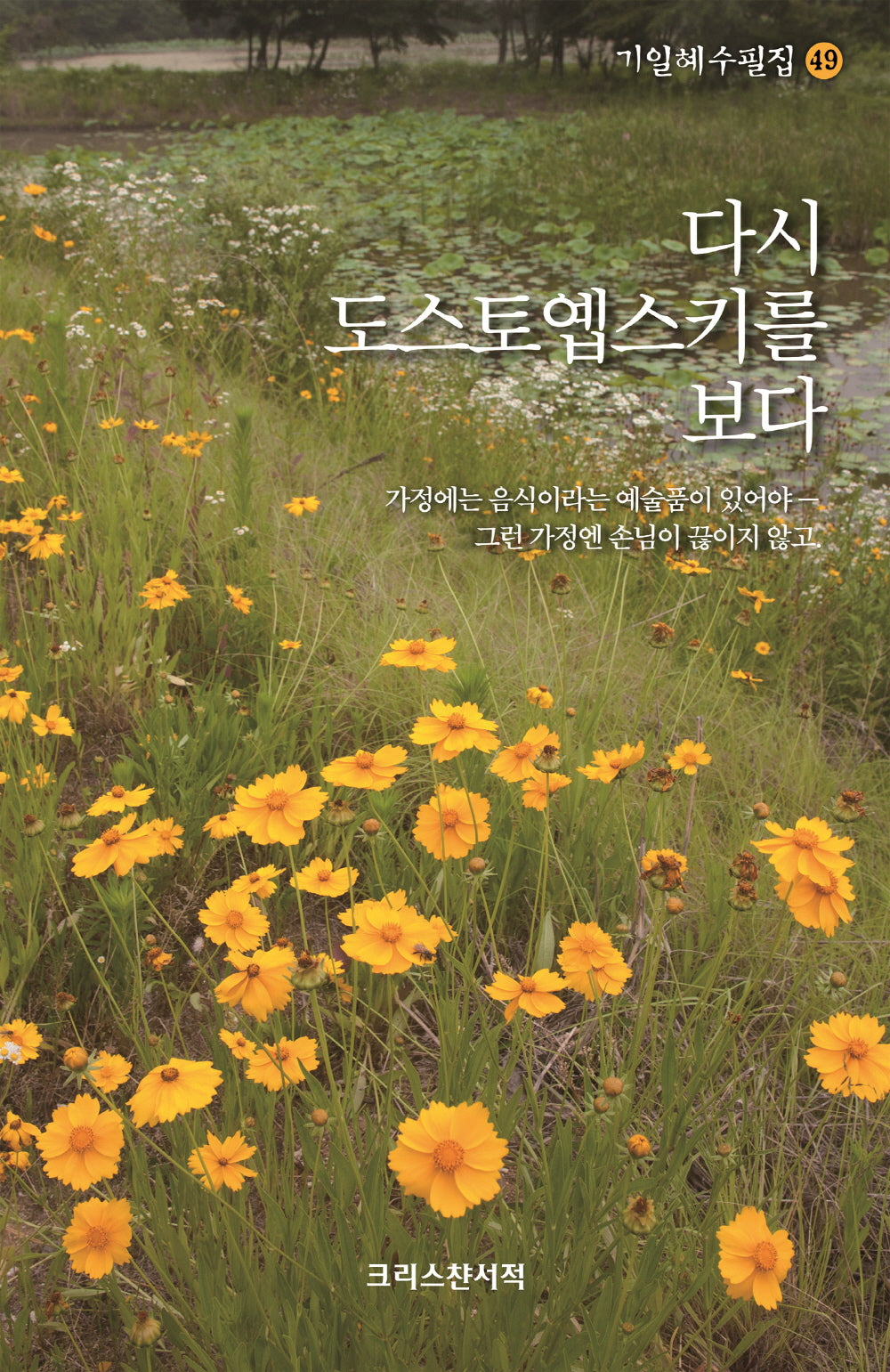 다시 도스토옙스키를 보다(기일혜수필집 49)