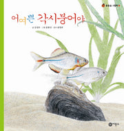 어여쁜 각시붕어야(물들숲 그림책 7)(양장본 HardCover)