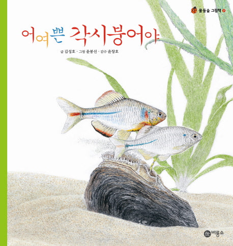 어여쁜 각시붕어야(물들숲 그림책 7)(양장본 HardCover)
