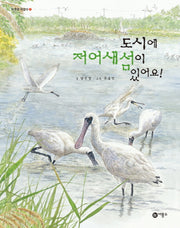 도시에 저어새섬이 있어요!(자연은 가깝다 4)(양장본 HardCover)