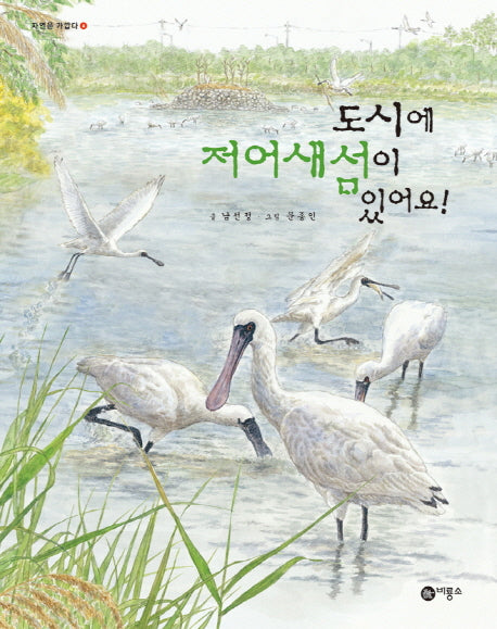 도시에 저어새섬이 있어요!(자연은 가깝다 4)(양장본 HardCover)