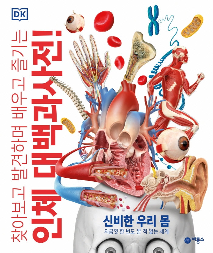 인체 대백과사전!: 신비한 우리 몸(찾아보고 발견하며 배우고 즐기는)(양장본 Hardcover)
