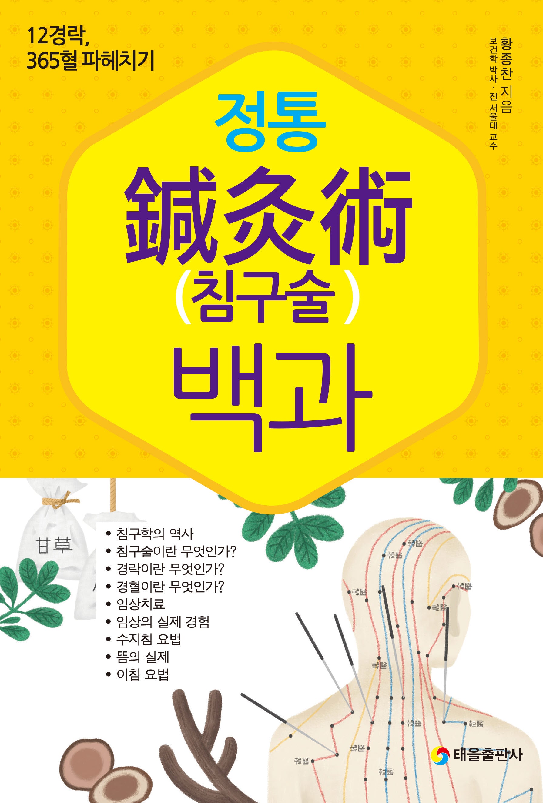 정통 침구술 백과