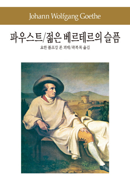 파우스트 젊은 베르테르의 슬픔(세계문학전집 13)