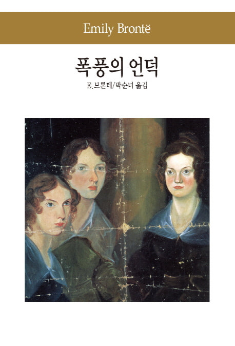 폭풍의 언덕(세계문학전집 16)