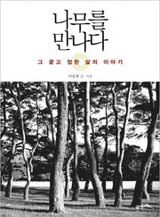 나무를 만나다