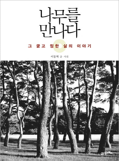 나무를 만나다