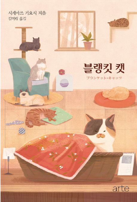 블랭킷 캣
