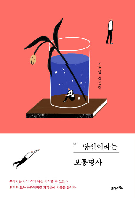 당신이라는 보통명사(양장본 HardCover)