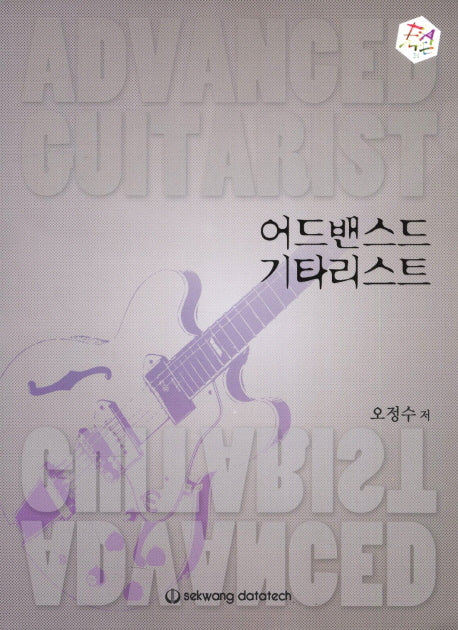 어드밴스드 기타리스트(FAME)