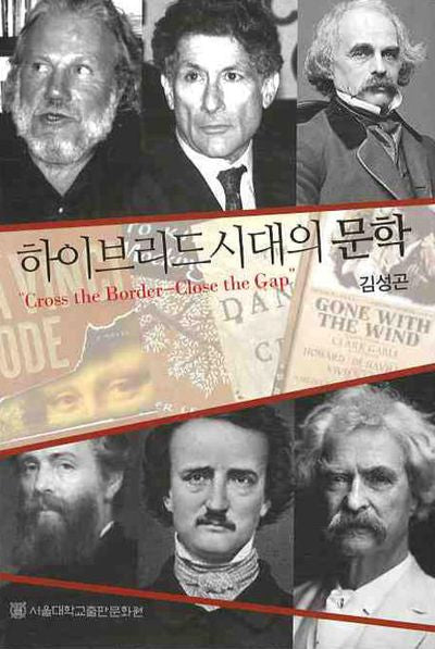 하이브리드 시대의 문학
