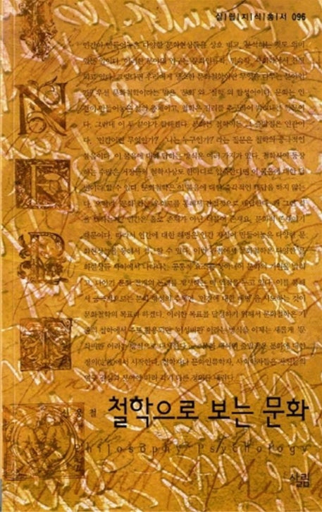 철학으로 보는 문화(살림지식총서 96)
