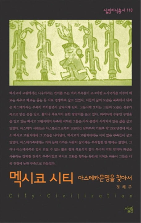 멕시코 시티 (아스테카 문명을 찾아서)(살림지식총서 110)